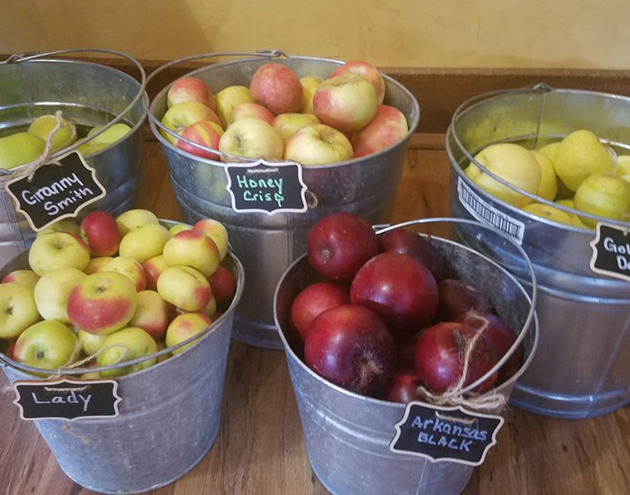 Apples in bucket