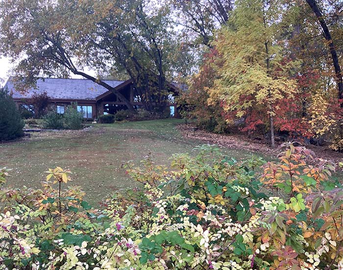 grounds and house in the very back