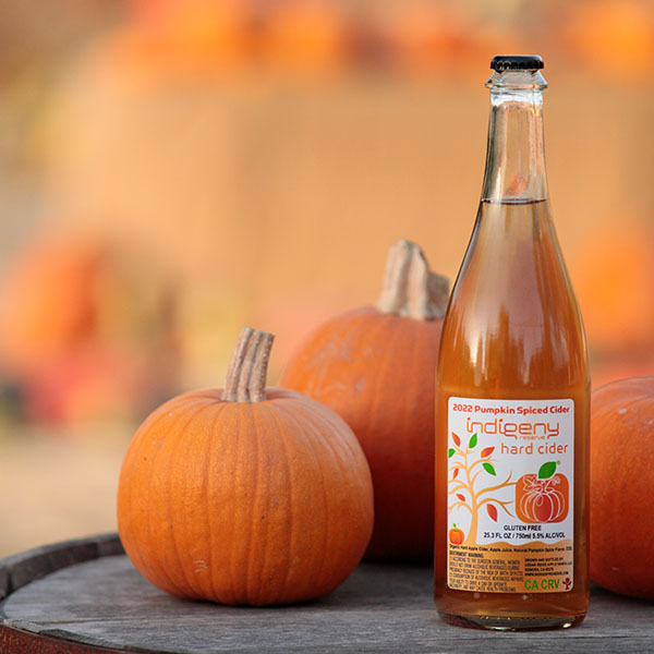Pumpkint in apple