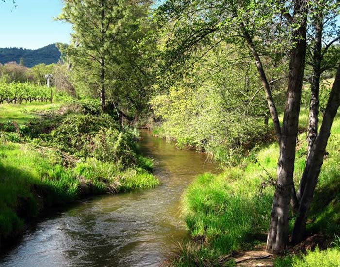 landscape of river